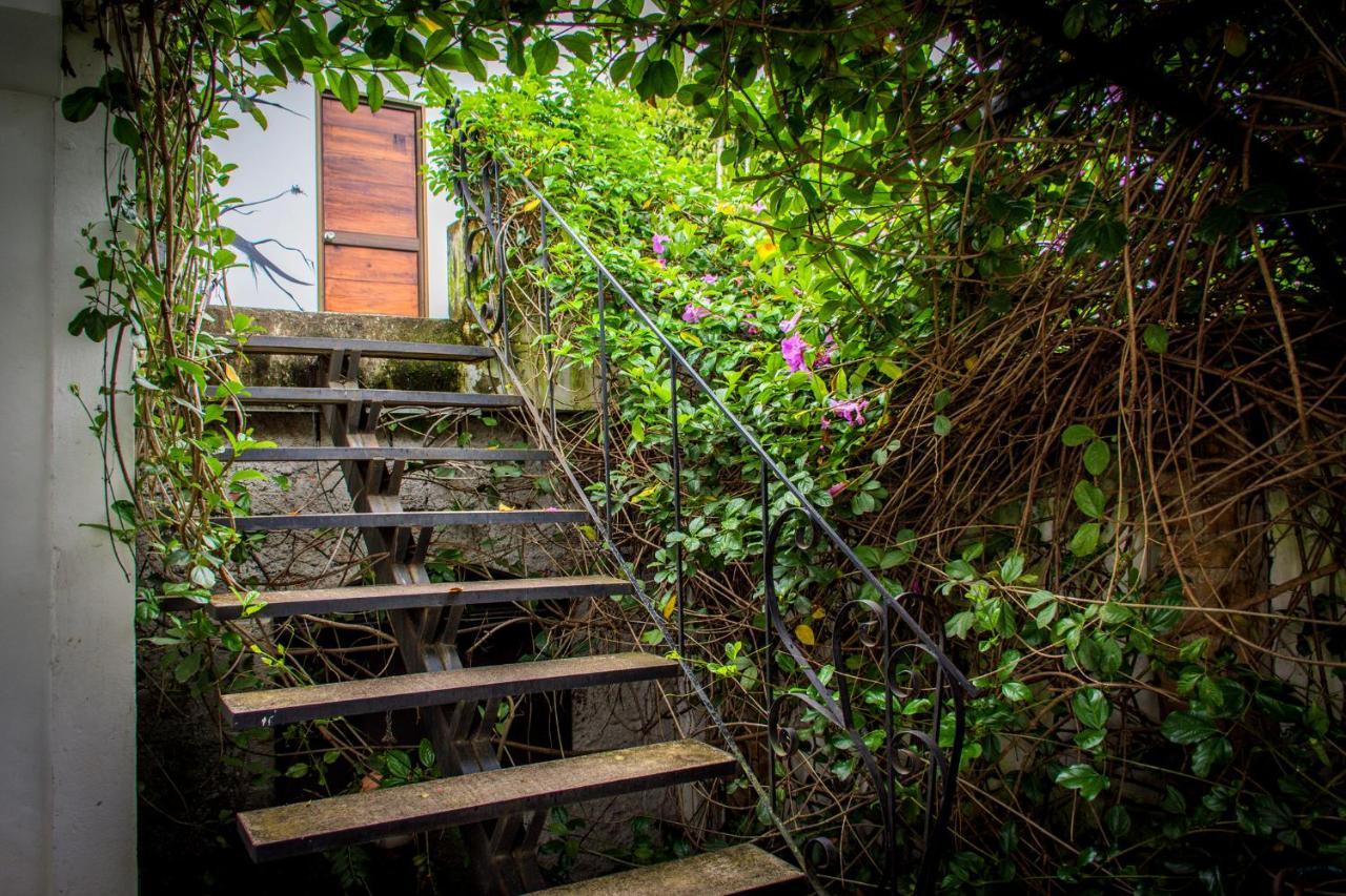 Capilla Del Sol Otel Garzón Dış mekan fotoğraf