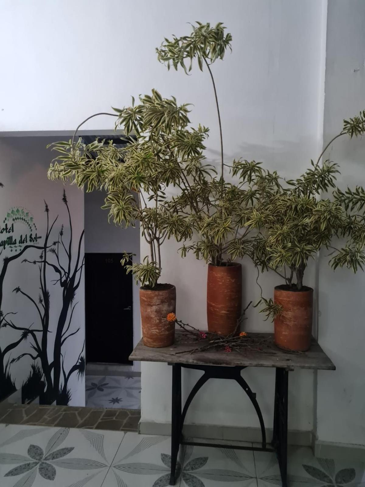 Capilla Del Sol Otel Garzón Dış mekan fotoğraf